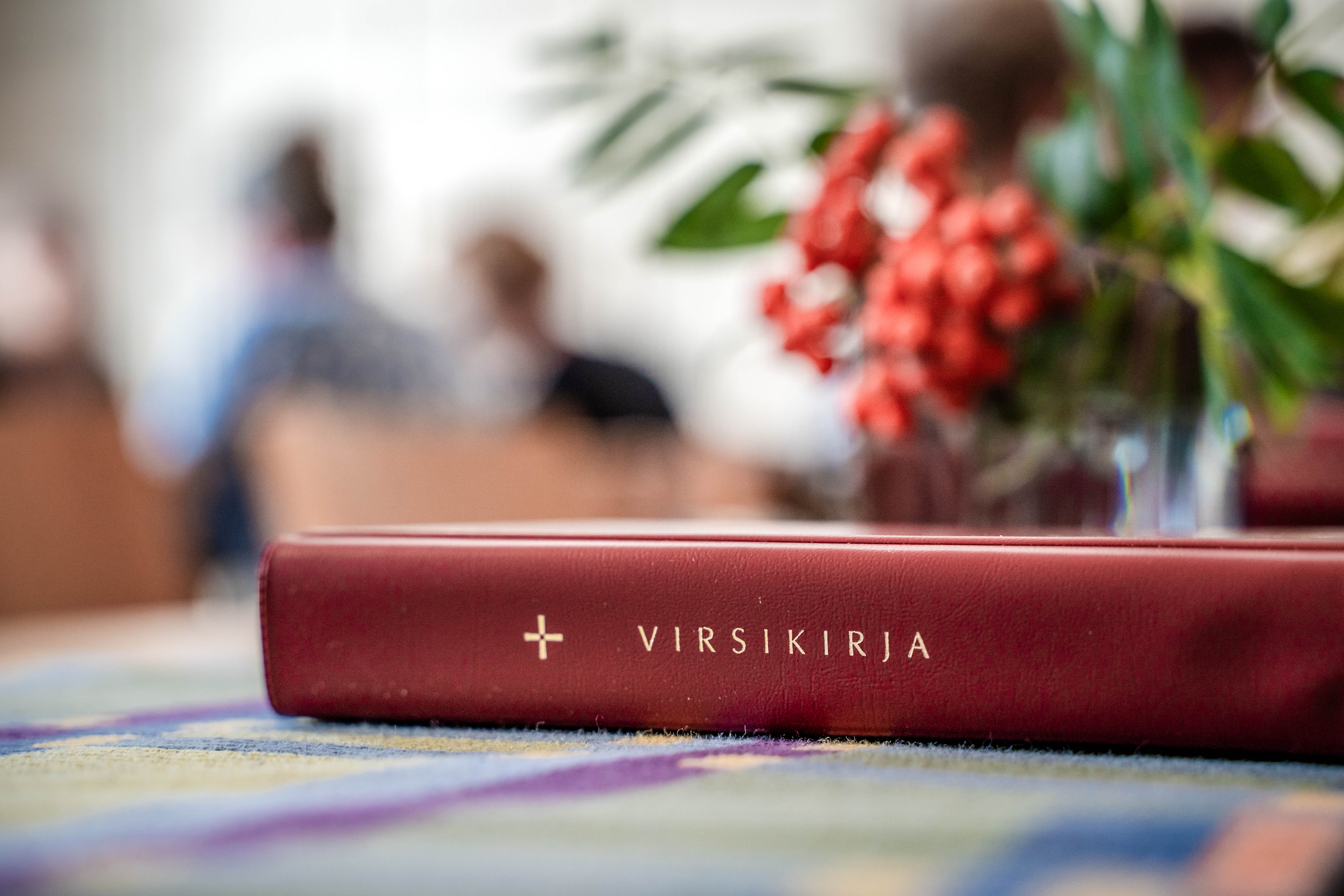 Virsikirja ja pihlajanmarjaterttu