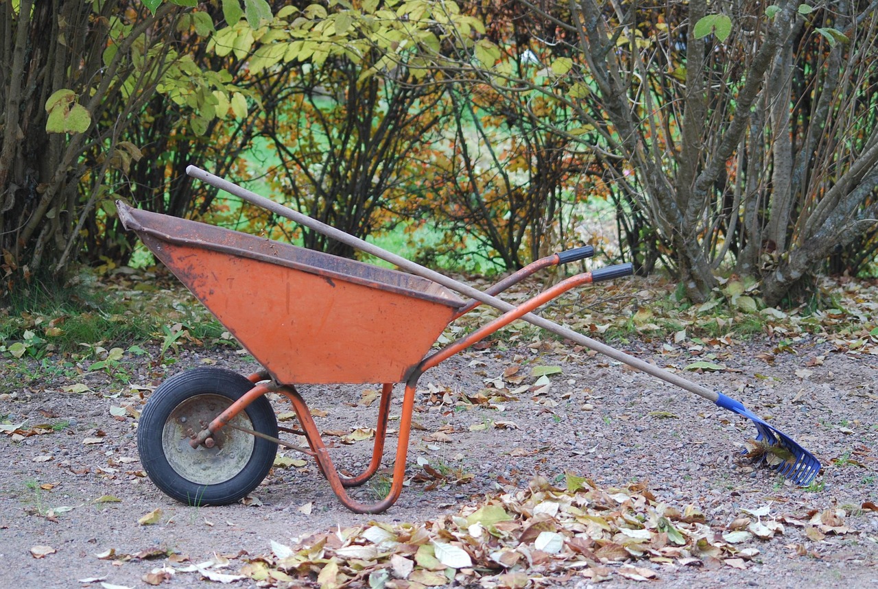 Kottikärryt ja harava