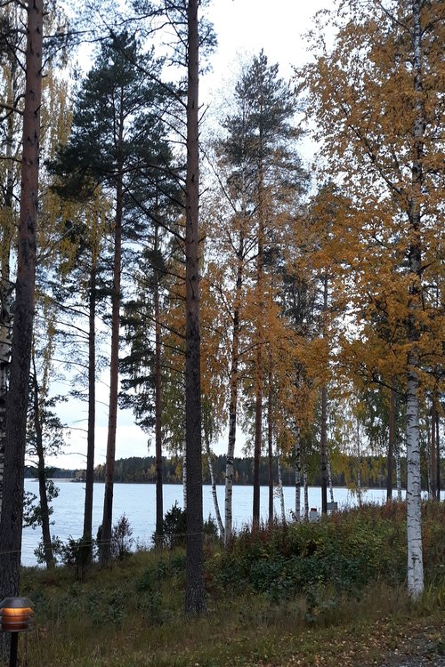 Äitien saunailta Äitien saunailta