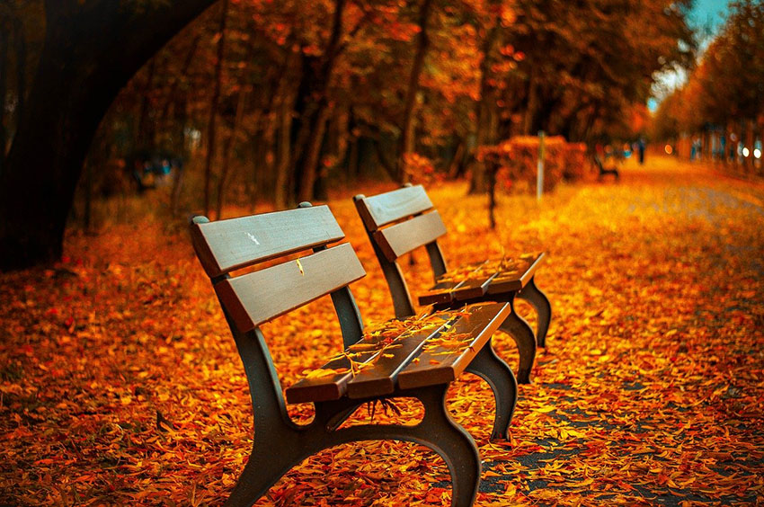 bench-560435_1280.jpg